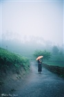 dailyPhoto31